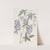 Finger-leaved Hardenbergia by Sydenham Edwards