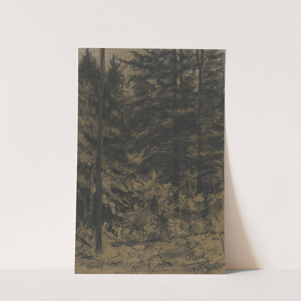 Fir trees by Friedrich Mook