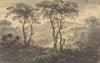 Fir Trees in a Mountain Landscape