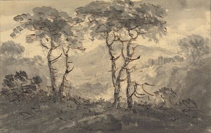 Fir Trees in a Mountain Landscape