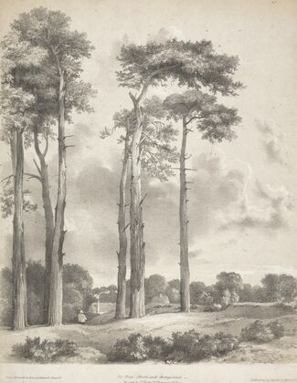 Fir Trees, North End, Hampstead