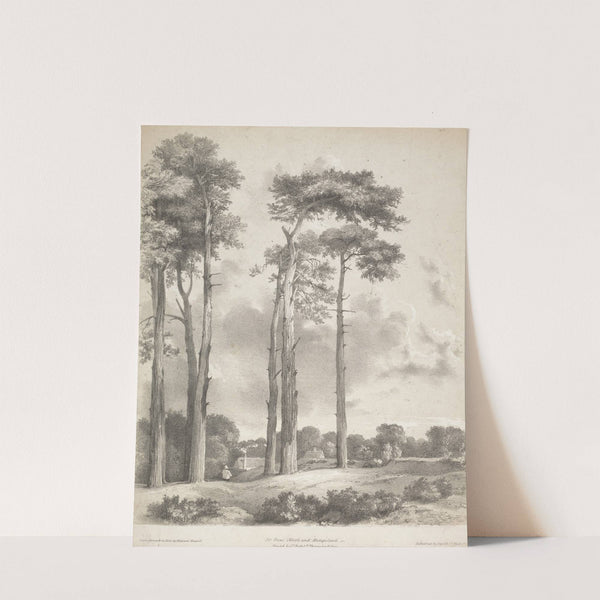 Fir Trees, North End, Hampstead by Edward Hassell