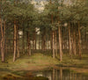 Fir Wood at Putte