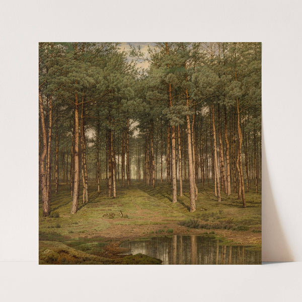 Fir Wood at Putte (1883) by Jean Pierre François Lamorinière