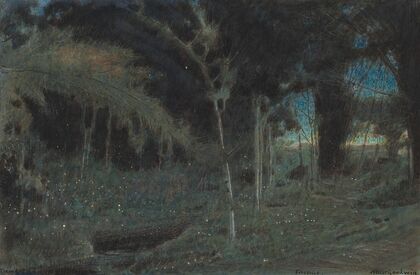 Fireflies, Trinidad