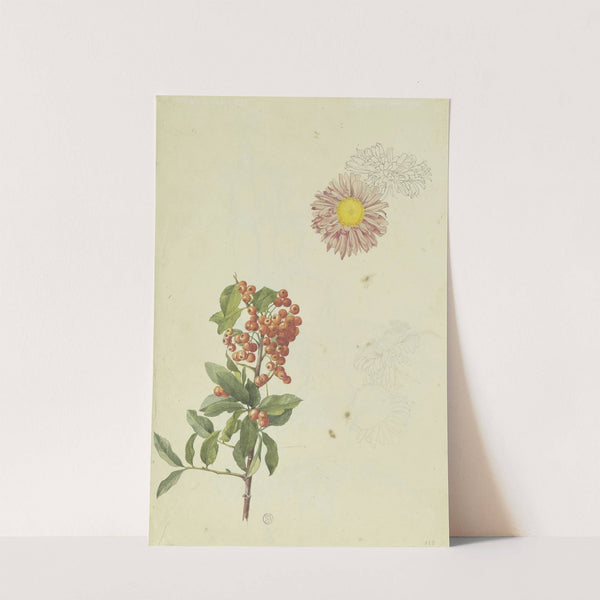 Firethorn and Chrysanthemum by Franz Theobald Horny