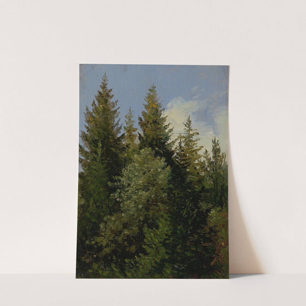 Firs by Carl Gustav Carus