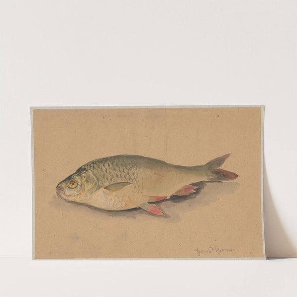 Fish (1880 - 1890) by Hans Thoma