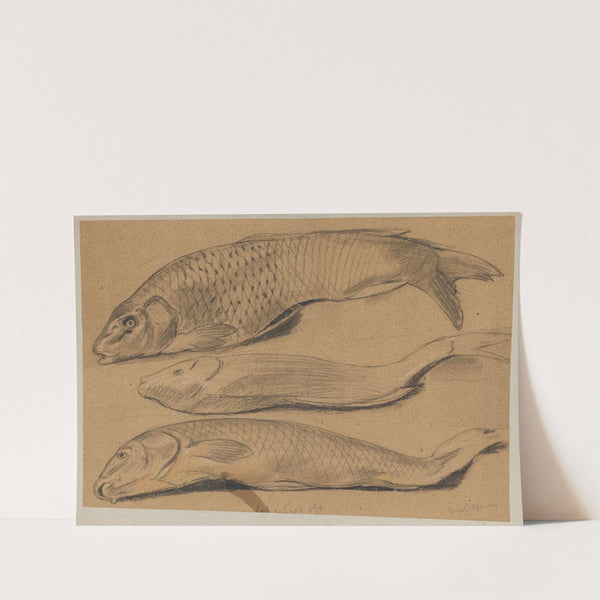 Fish (1888) by Hans Thoma