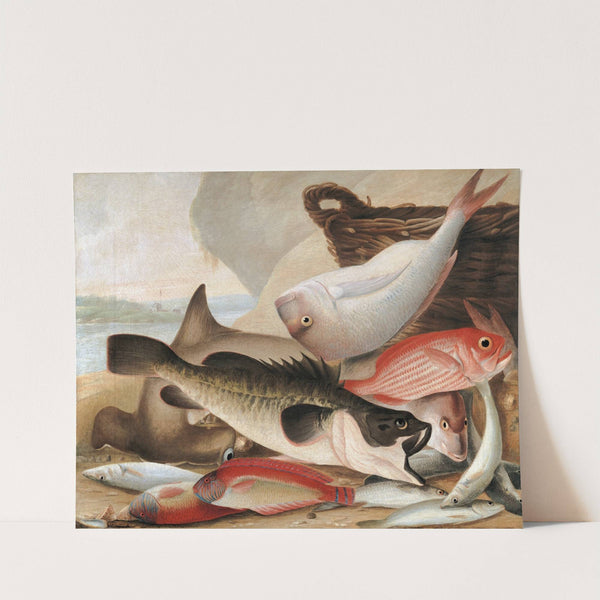 Fish catch and Dawes Point, Sydney Harbour (1813) by John William Lewin