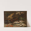 Fish, Crustacea, Poultry, Vegetables and a Cat by Alexander Adriaenssen