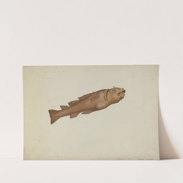 Fish Shop Sign by Joseph Goldberg