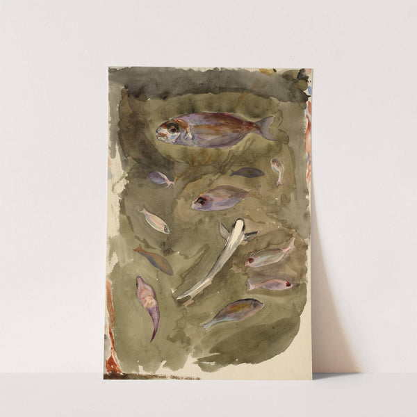 Fishes by Félix Bracquemond