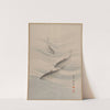 Fishes Swimming (ca. 1890–92) by Seki Shūkō