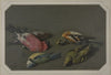 Five dead birds