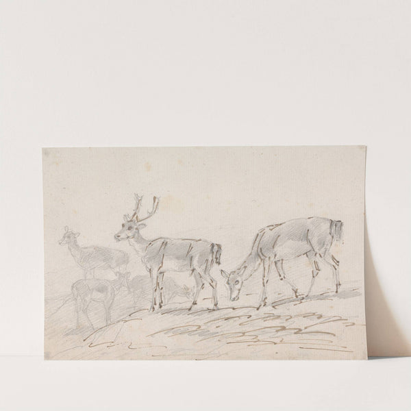 Five Deer by Sawrey Gilpin