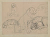 Five dog studies (1860 - 1920)