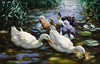 Five Ducks