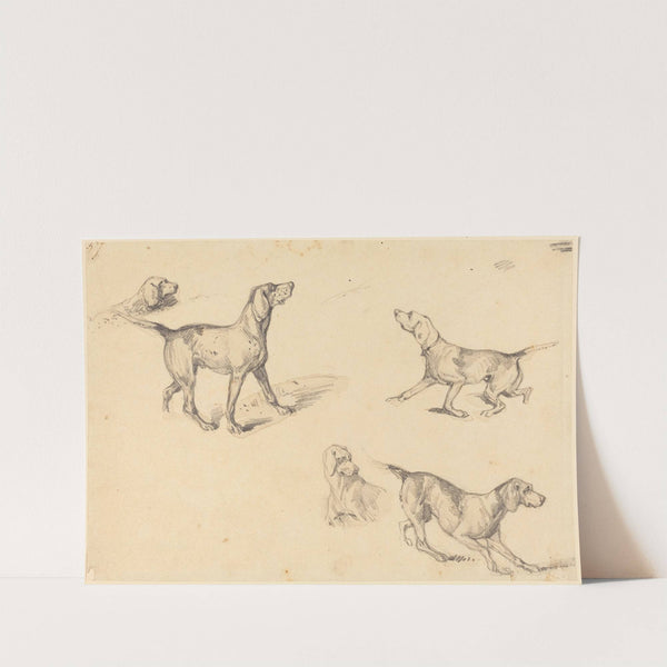 Five Studies of a French Pointer (1825-1826) by Richard Parkes Bonington
