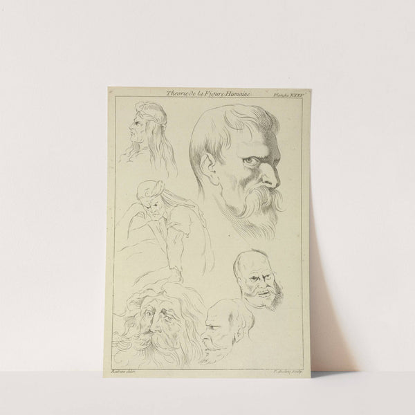 Five studies of men’s heads displaying various hair styles, beards and mustaches; one seated figure, half-length by Peter Paul Rubens