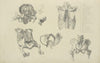Five views of bones of ribcage and pelvis