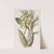Flat-headed Catasetum by Sydenham Edwards