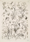Fleurs et insectes (1866)