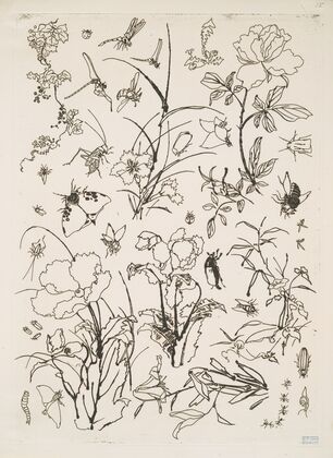 Fleurs et insectes (1866)