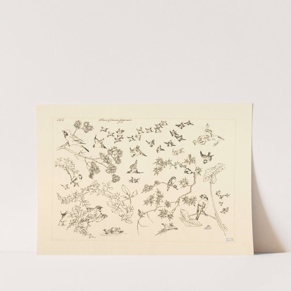 Fleurs et oiseaux japonais. (1866 - 1878) by Félix Bracquemond