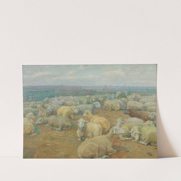 Flock of Sheep by Rudolf Konopa