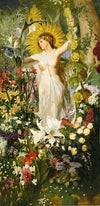 Flora