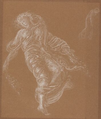 Flora