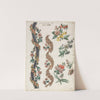 Floral Designs and Floral Bands (1784) by Giacomo Cavenezia