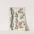 Floral Designs and Floral Bands (1784) by Giacomo Cavenezia