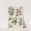 Floral Designs with a Blue Bird (c. 1773) by Giacomo Cavenezia