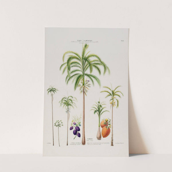 Flore d'Amérique, dessinée d'après nature sur les lieux Pl.089 by Etienne Denisse