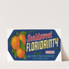 Floridainty Brand Citrus Label (1930-1950)