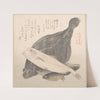 Flounder and Other Fishes by Kubo Shunman
