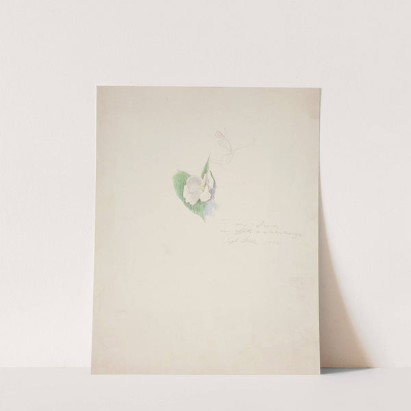 Flower by Joseph Stella