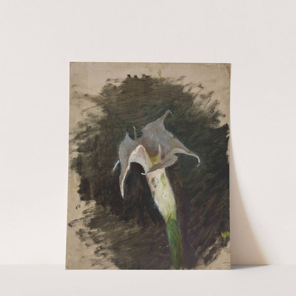 Flower by Jan Ciągliński