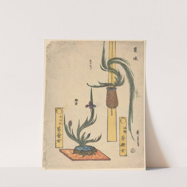 Flower Arrangements; Basket Pine and Iris in Rock Bowl (19th century) by Andō Hiroshige