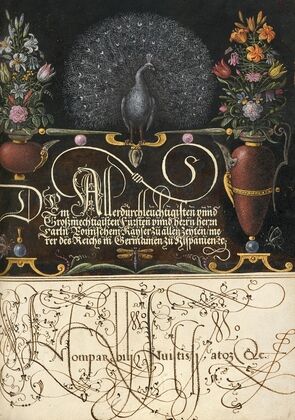 Flower Arrangements, Peacock, Butterflies, and Insect