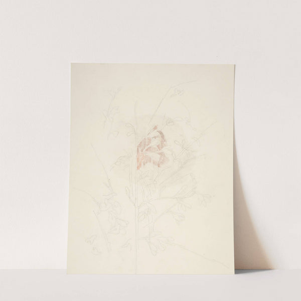 Flower (ca. 1926–28) by Charles Demuth