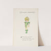 Flower Children pl69 (1910) by Marion T. Ross