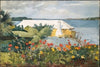 Flower Garden and Bungalow, Bermuda (1899)