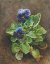 Flower study