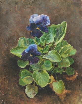 Flower study