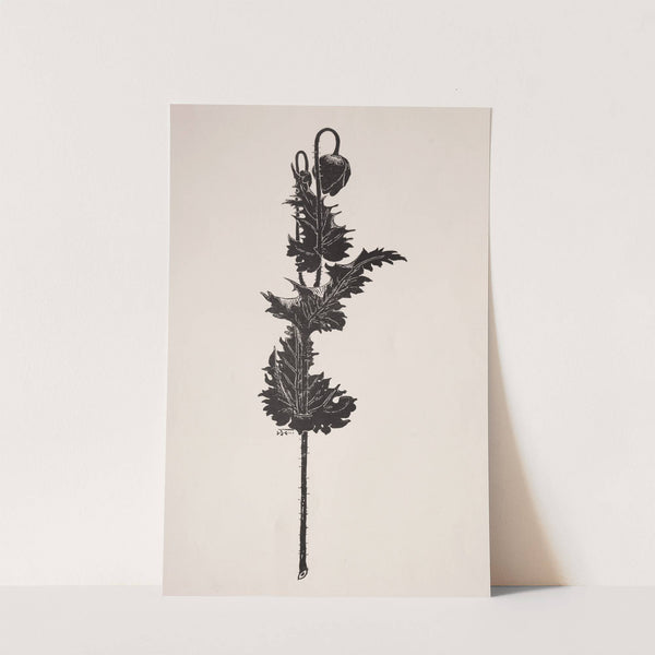 Flower Study (1860–1911) by Harry Fenn