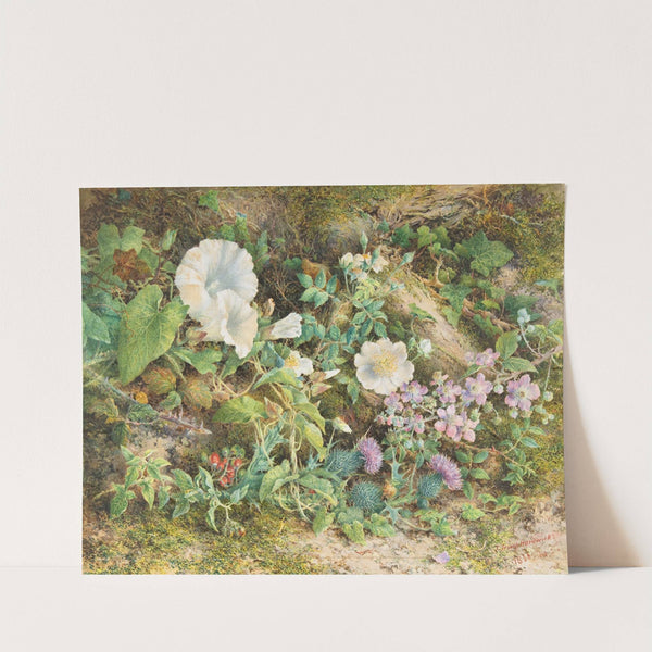 Flower Study by John Jessop Hardwick