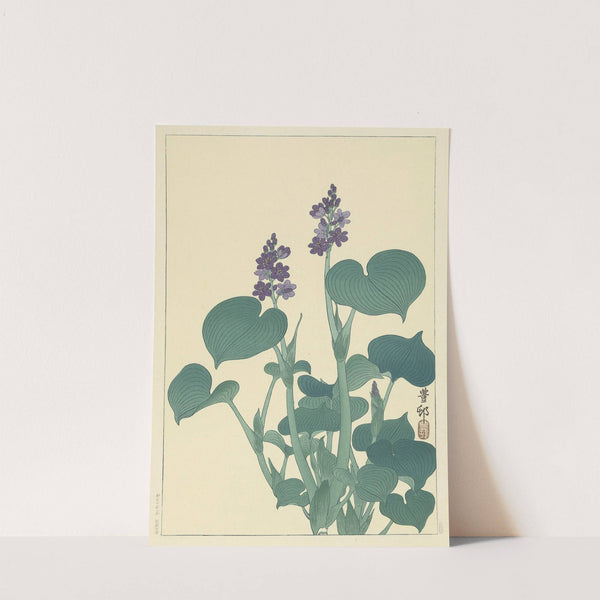 Flowering hosta by Ohara Koson